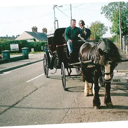 Dalys Inn Donore (Meath)