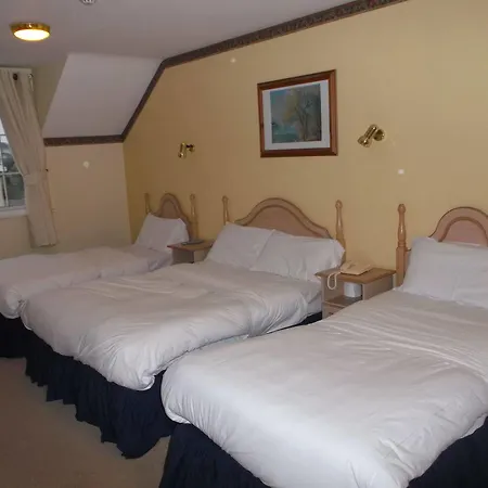 Inn Dalys 2*