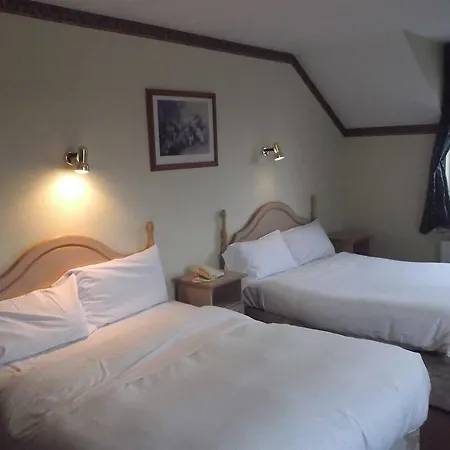 Inn Dalys 2*
