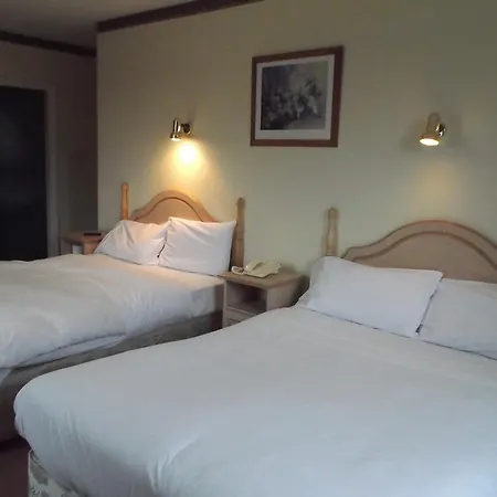 Han/Misafirhane Dalys 2*